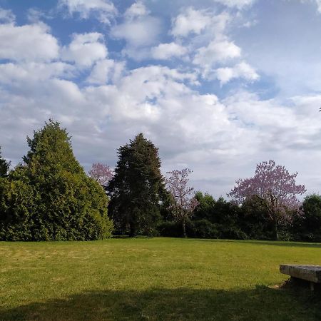 Domaine Moulin D' Elemiah Apartman Gémozac Kültér fotó